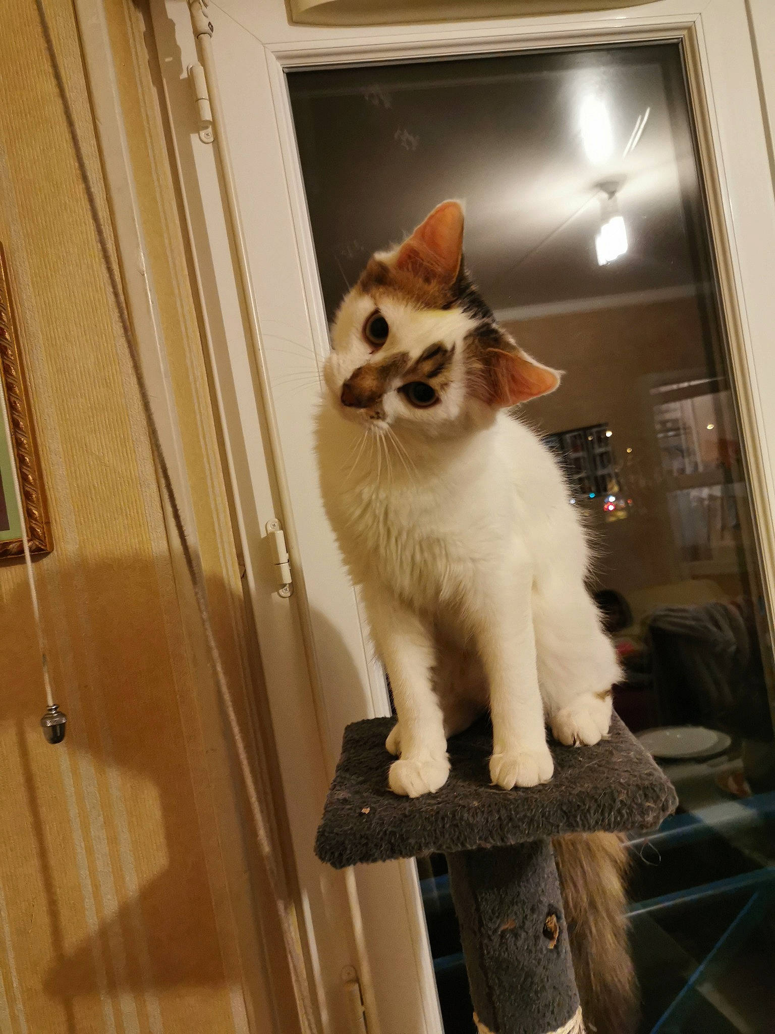 Olaf