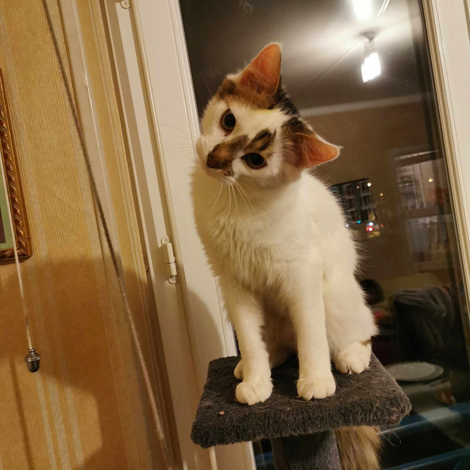 Olaf