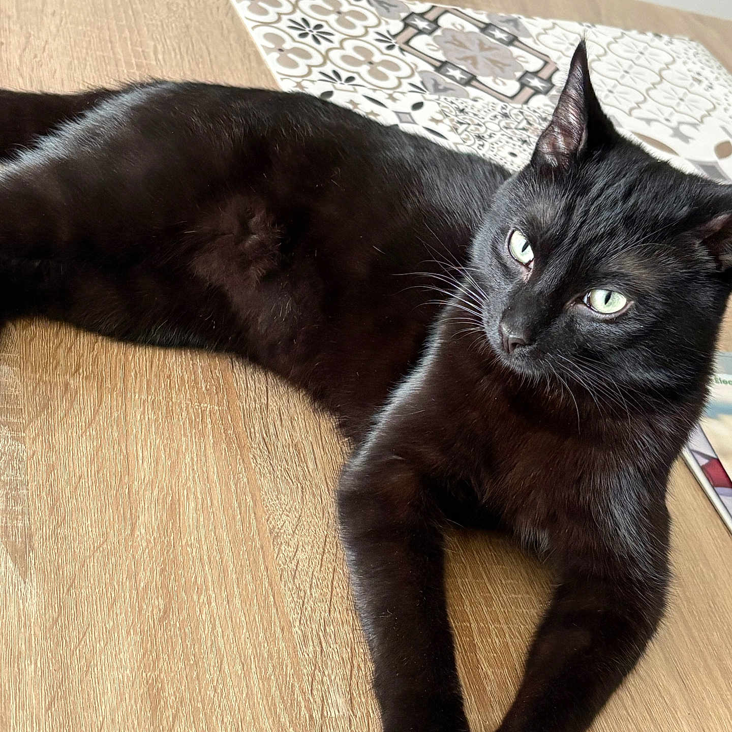 Krokmou a rejoint le concours — aidez-le/la à gagner de superbes lots ! black_cat, cat, pet, animal, feline, wooden_table, placemat, green_eyes, indoor, relaxed, laying_down, fur, whiskers, ears, domestic_animal, table_surface, closeup, resting, household, cozy
