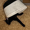 black_cat, cat, pet, indoor, carpet, woven_basket, stretching, playful, animal, feline, household_item, relaxing, cozy, paw, fur, domestic_animal, cute, hiding, floor, funny_pose