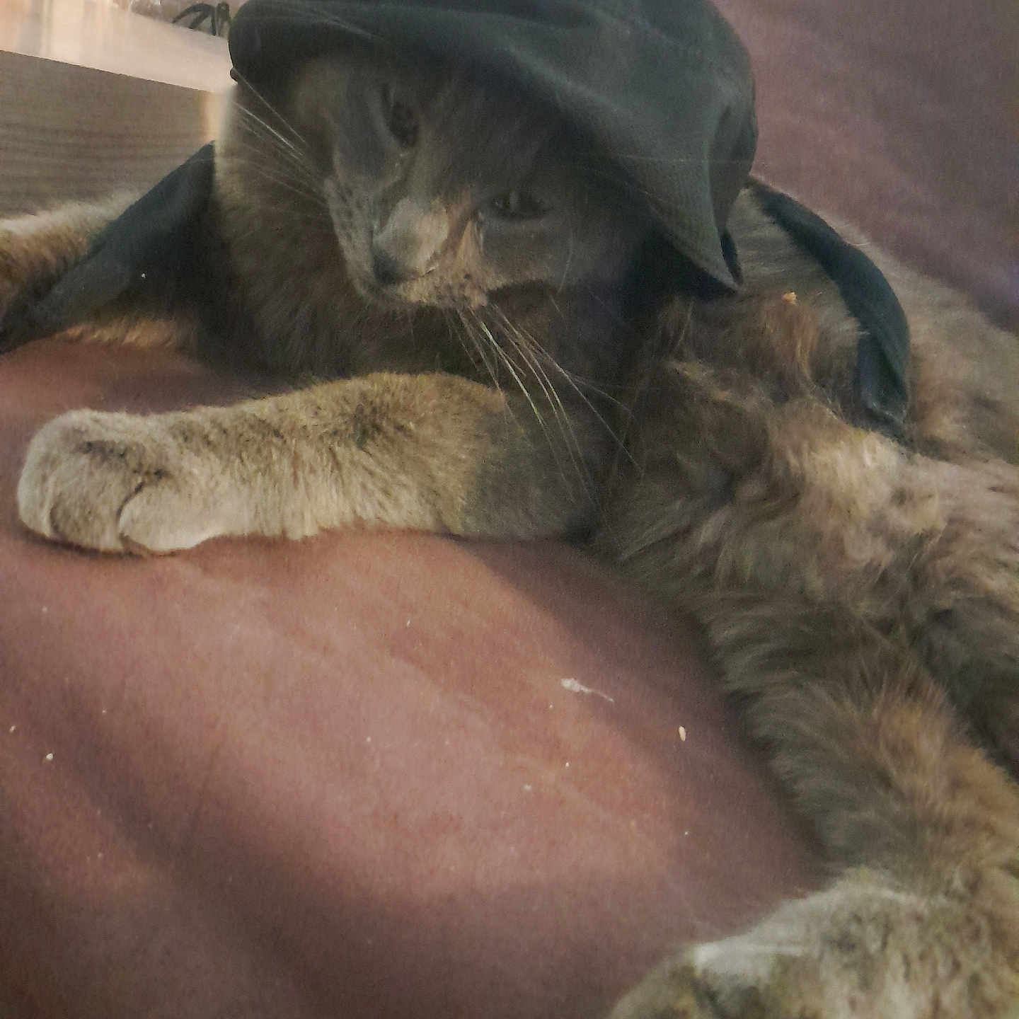 Caramel