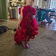 Scarlett joined the competition — help win amazing prizes! cabinet, carpet, child, clothing, curly_hair, dining_table, dog, floor, furniture, home, indoor, kitchen, light, person, playful, pose, red_dress, room, sparkly_shoes, window