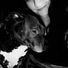 woman, person, dog, pet, pit_bull, portrait, selfie, cuddling, snuggling, black_and_white, monochrome, close_up, face, indoors, blanket, cozy, camouflage, collar, sleepy, companion