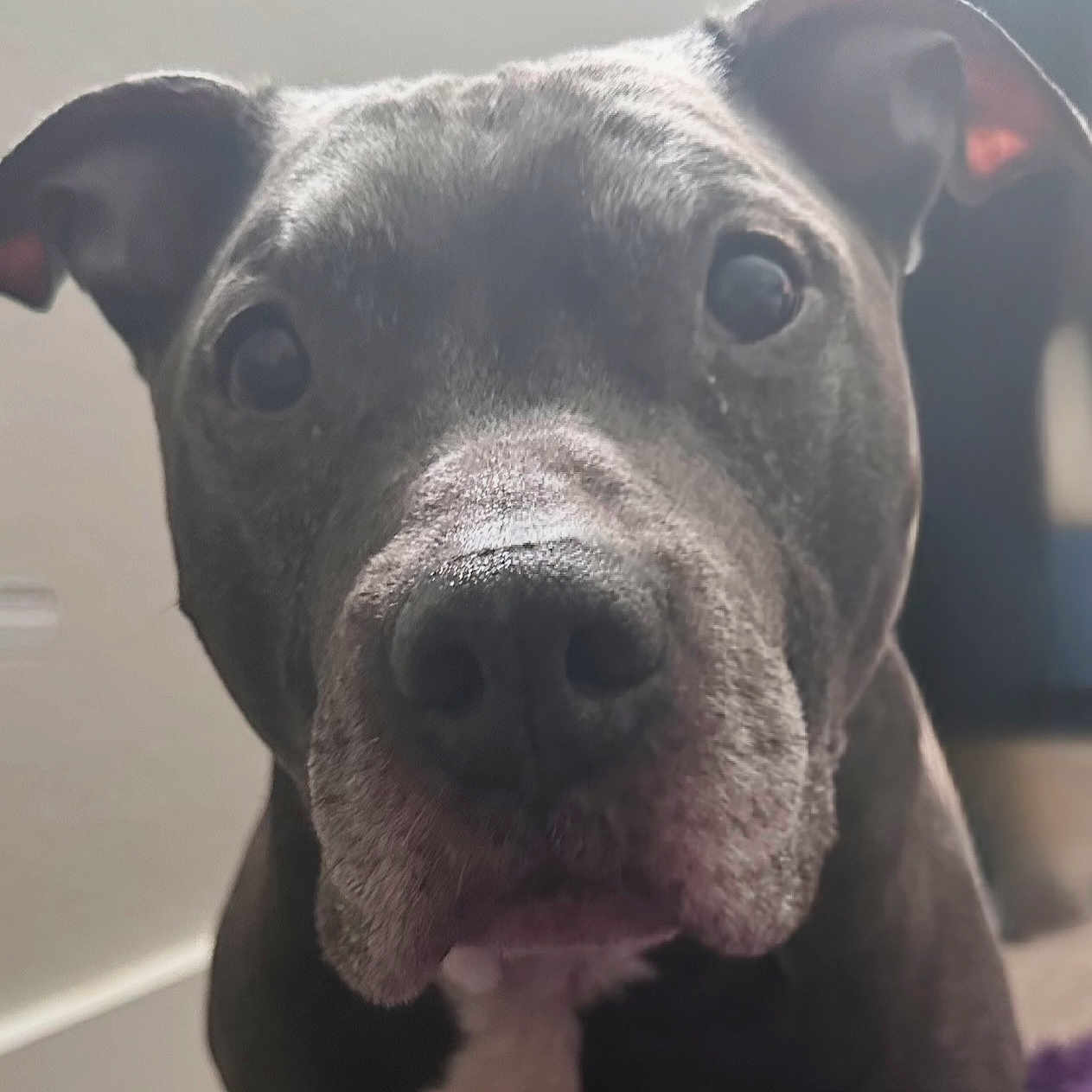 Diesel