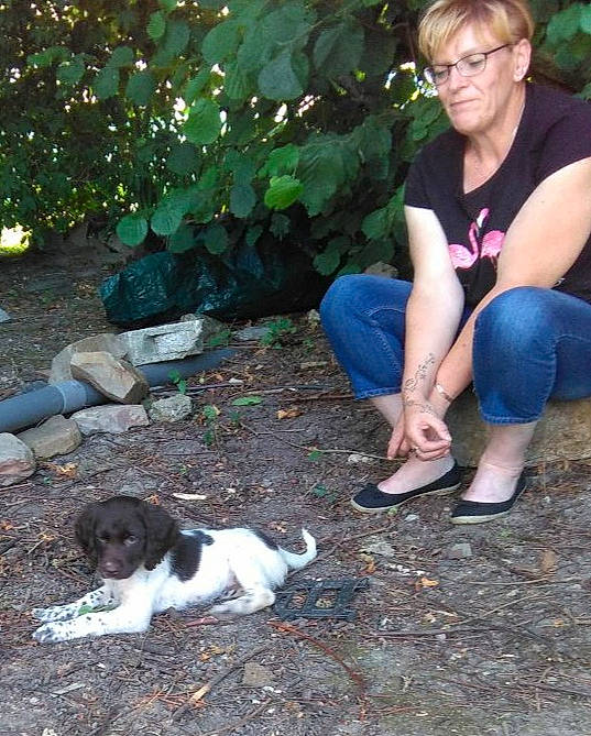 O'Bella participe au concours pour gagner de l'argent avec cette photo : carnivore, companion_dog, dog, dog_breed, fawn, foot, grass, green, human_leg, lap, leaf, plant, shoe, sitting, sneakers, soil, sporting_group, thigh, tree, vertebrate