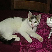 Poucinette a rejoint le concours — aidez-le/la à gagner de superbes lots !