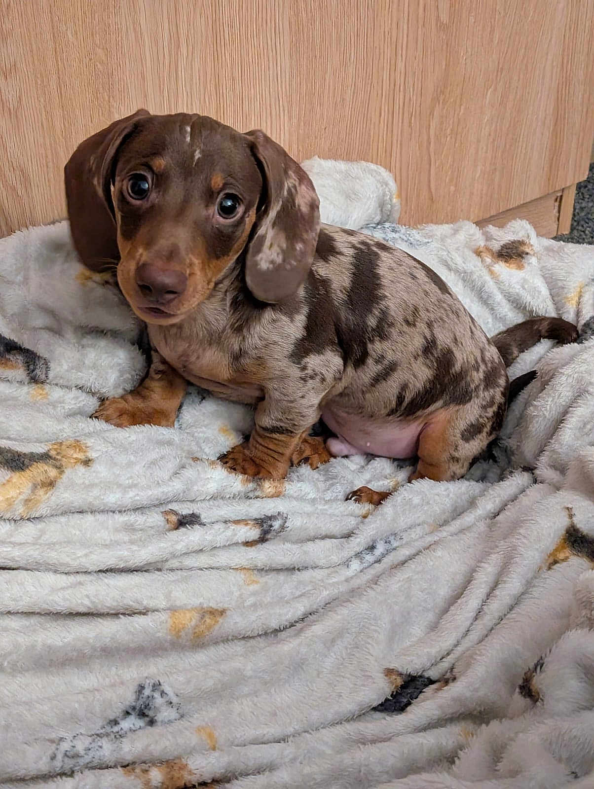 Rusty