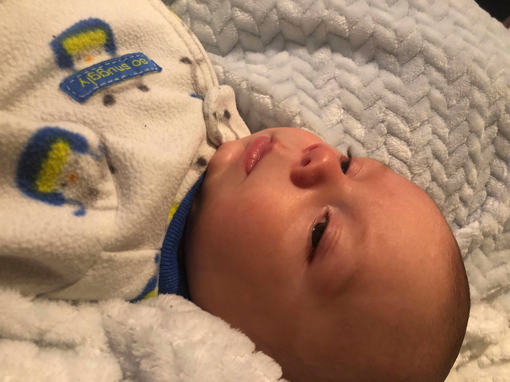 Prescott joined the competition — help win amazing prizes! baby, baby_sleeping, bedtime, cheek, child, chin, comfort, eye, eyebrow, eyelash, face, head, linens, lip, mammal, nose, person, skin, textile, toddler