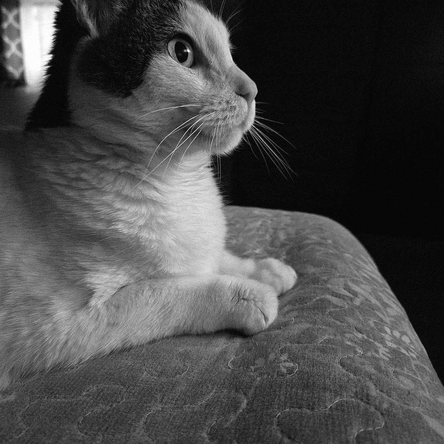 Clark