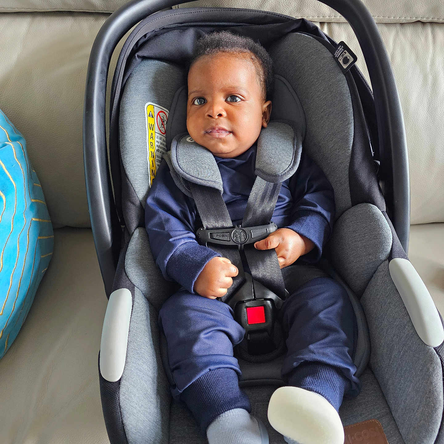 Harry-Bright joined the competition — help win amazing prizes! baby, car, car_interior, clothing, cushion, face, happy, head, homedecor, hosiery, infantbed, person, photography, portrait, sitting, smile, sock, toy, transportation, vehicle