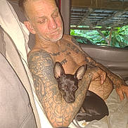 Lil Bit is registered to the contest to win money with this photo: animal, arm, casual, companion, dog, greenery, human, indoors, man, peaceful, pet, portrait, relaxed, rustic, shirtless, sleeping, small_dog, tattoos, vehicle_interior, window