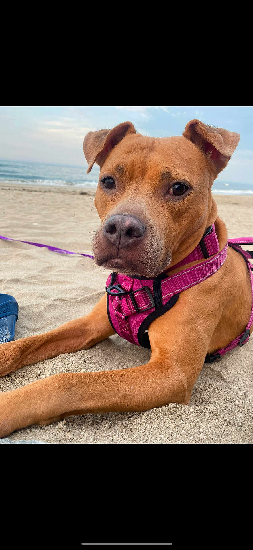 Jada