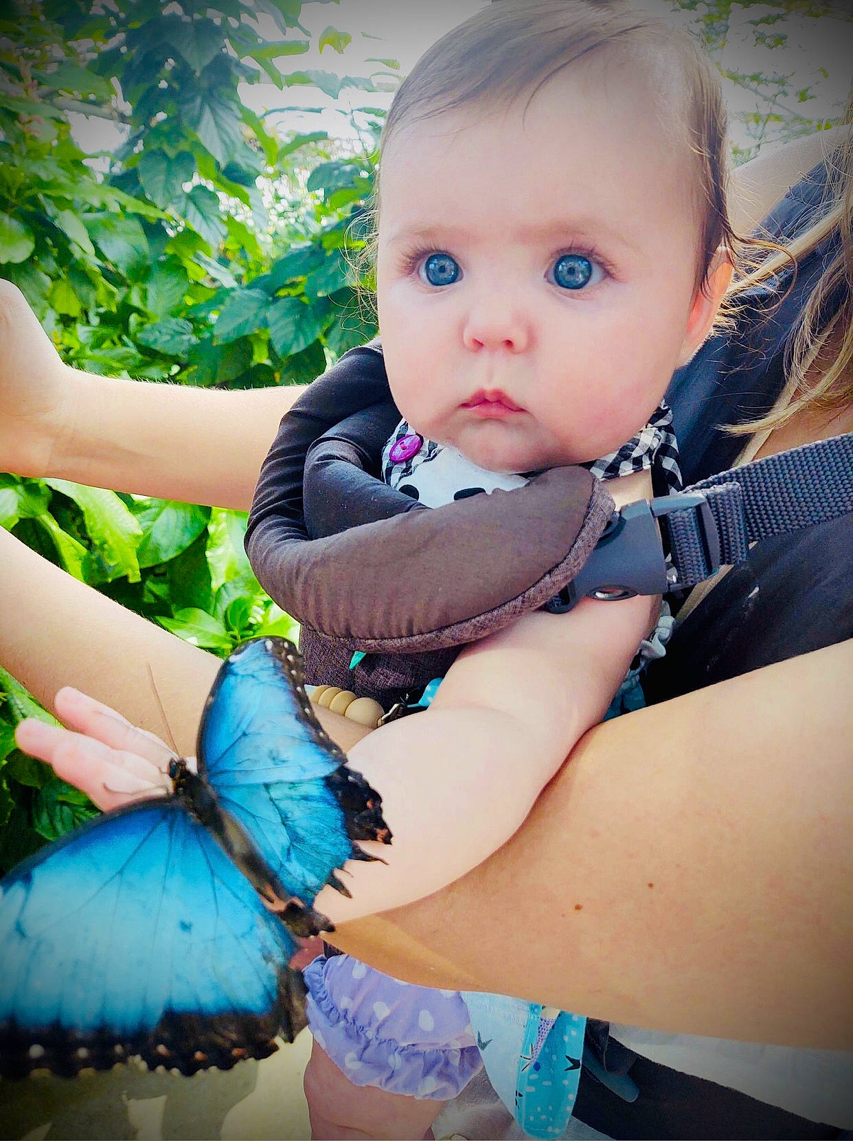 Heidi joined the competition — help win amazing prizes! azure, baby, baby_toddler_clothing, beauty, blue, child, eye, face, fun, grass, happy, iris, leaf, people, people_in_nature, person, pink, plant, skin, toddler
