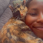 Buttercup joined the competition — help win amazing prizes! cat, calico_cat, person, face, smile, couch, pillow, indoor, close_up, snuggle, pet, animal, feline, cozy, relaxation, companion, friendship, warmth, resting, cute
