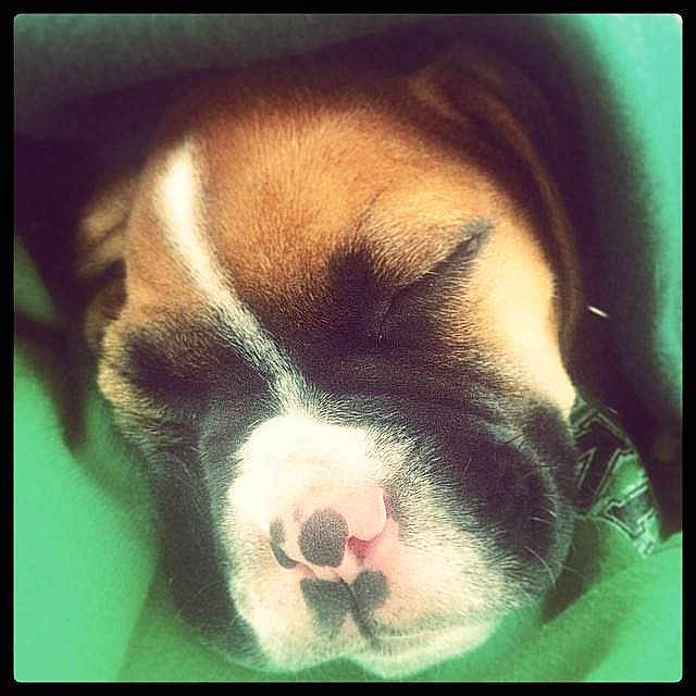 Achilles is registered to the contest to win money with this photo: