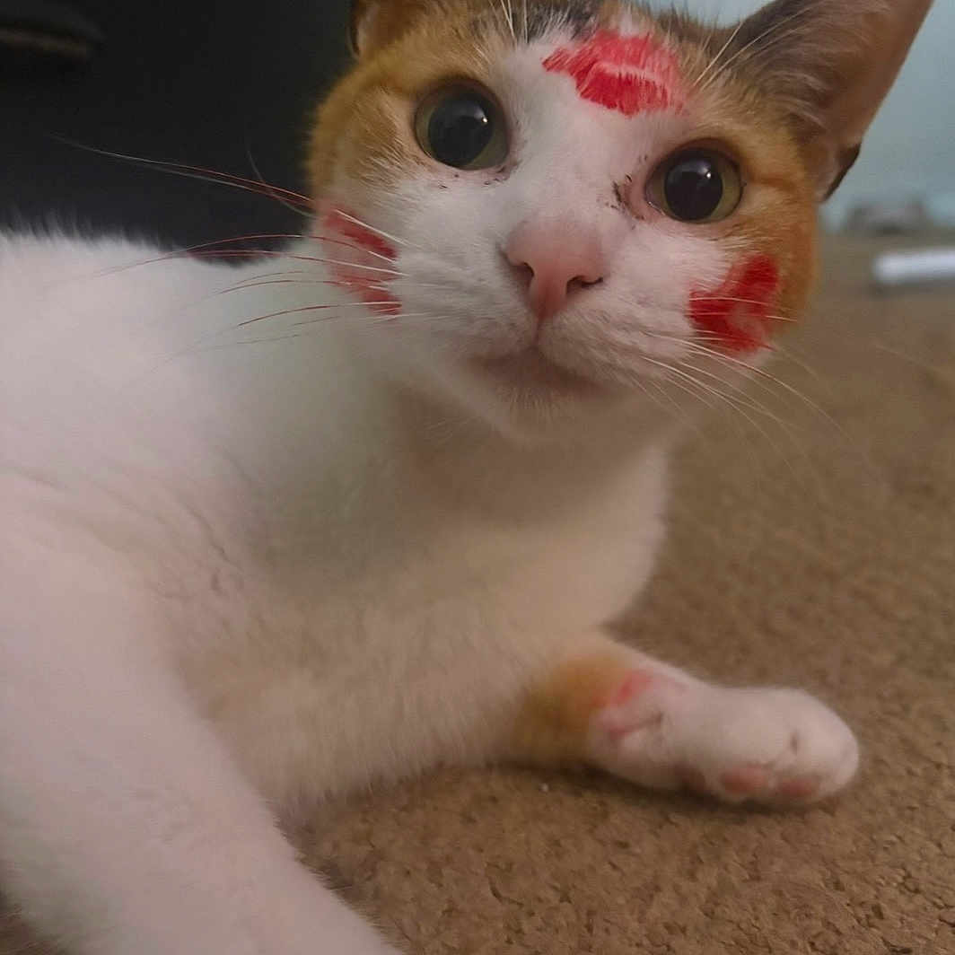 Winnie