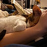 Winnie is registered to the contest to win money with this photo: animal, arm, bedroom, cat, close_up, comfort, cozy, domestic, ear, fur, human_arm, indoor, pet, plush_toy, relaxation, resting, sleeping, snuggling, soft_lighting, tail