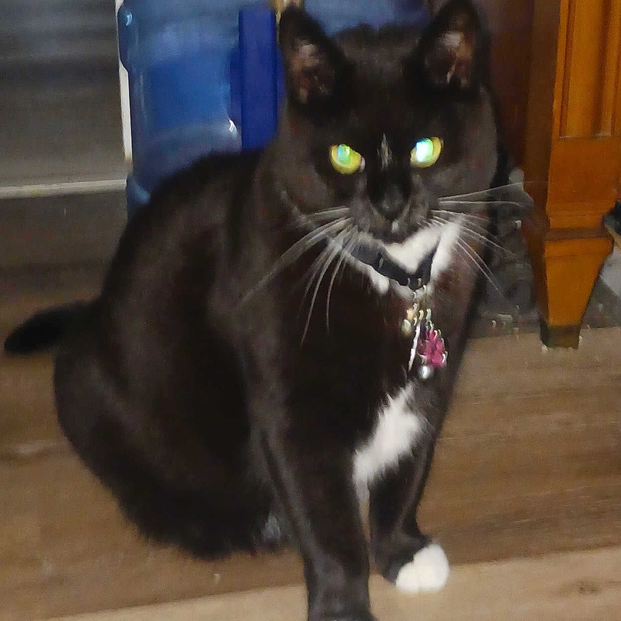Mia