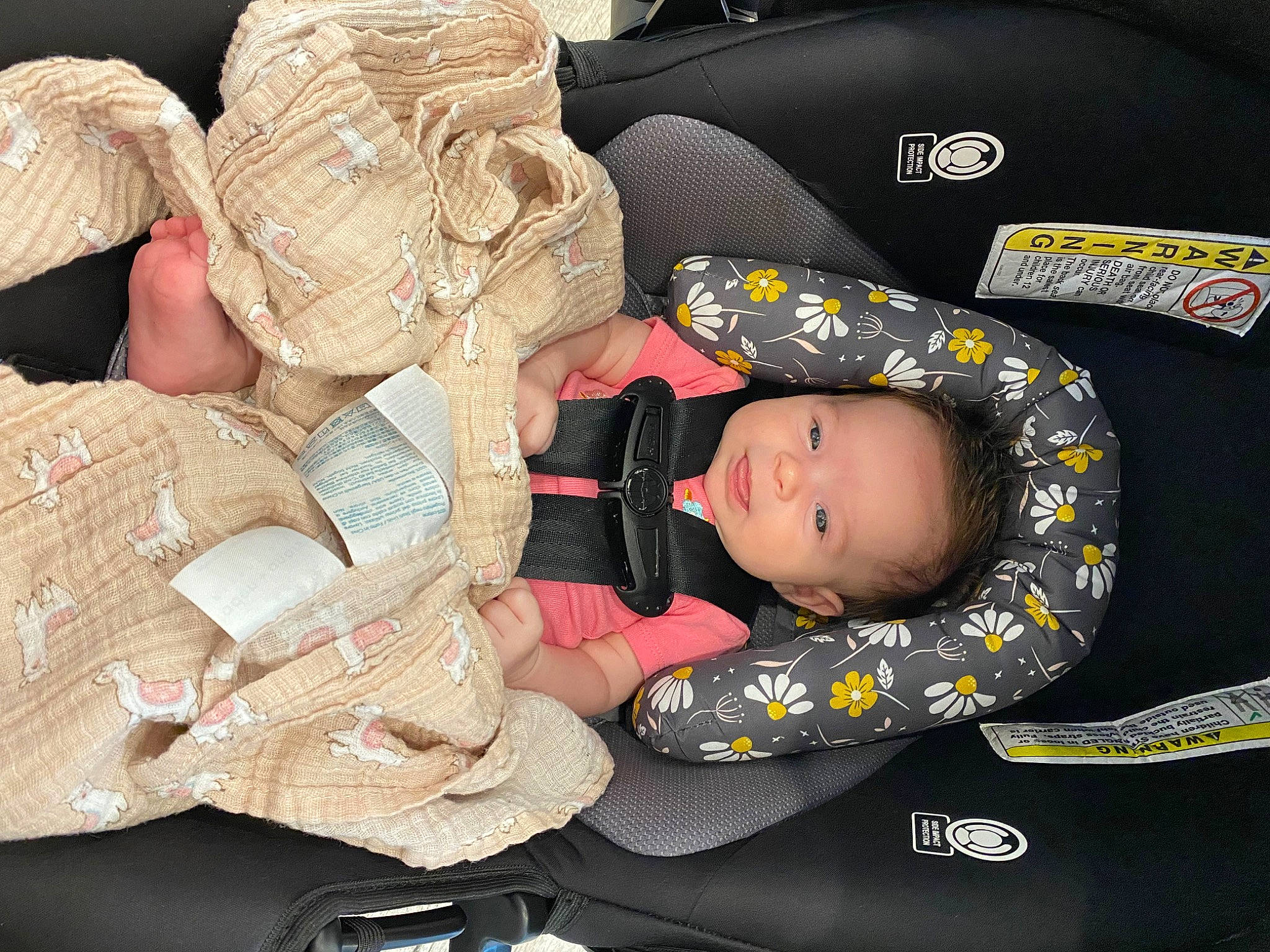 Ella joined the competition — help win amazing prizes! auto_part, baby, baby_carriage, baby_in_car_seat, baby_products, baby_sleeping, baby_toddler_clothing, car_seat, child, comfort, hat, headgear, lap, nap, pattern, person, sitting, sleep, toddler, white