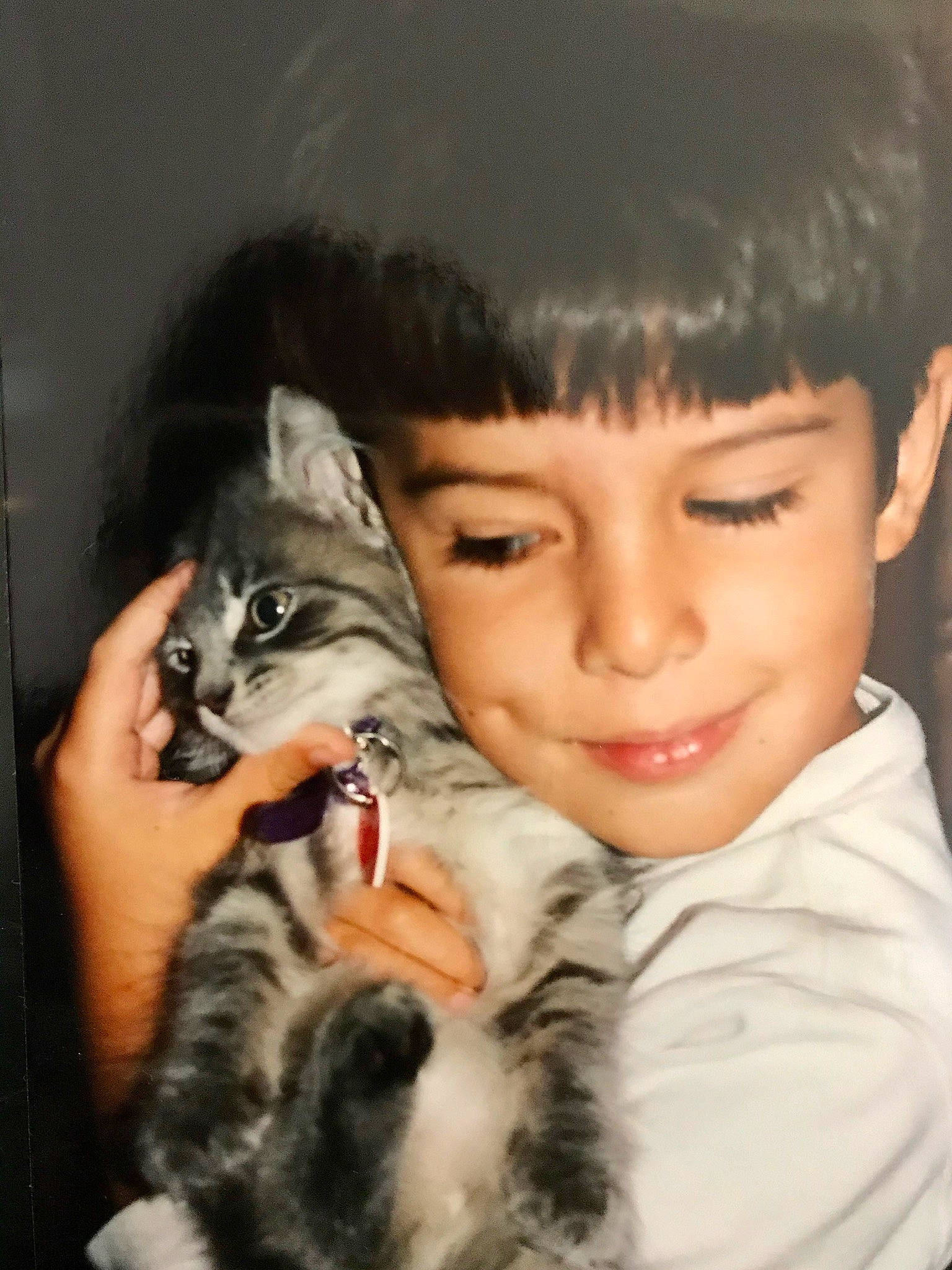 Cledo joined the competition — help win amazing prizes! bangs, black_hair, carnivore, cat, cheek, comfort, cool, ear, eye, eyebrow, eyelash, felidae, hair, happy, head, iris, nose, skin, smile, toddler