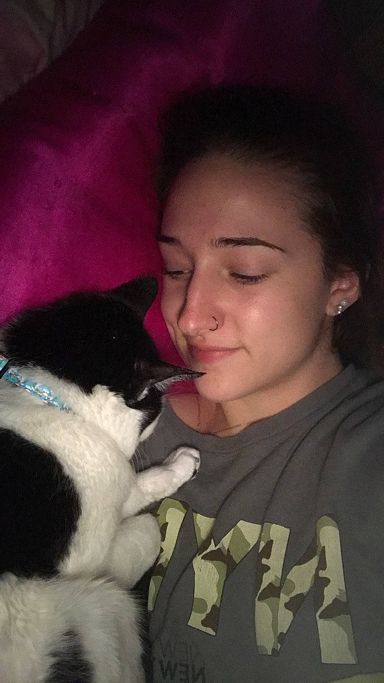 Rigby joined the competition — help win amazing prizes! black_hair, canidae, carnivore, cat, cheek, ear, eye, felidae, forehead, fur, head, neck, nose, puppy_love, snout, whiskers