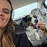 Pink is registered to the contest to win money with this photo: woman, person, dog, dogs, puppy, australian_shepherd, pet, car, selfie, smiling, open_mouth, yawning, road_trip, backseat, blanket, animal_print, fur, portrait, indoor, happy