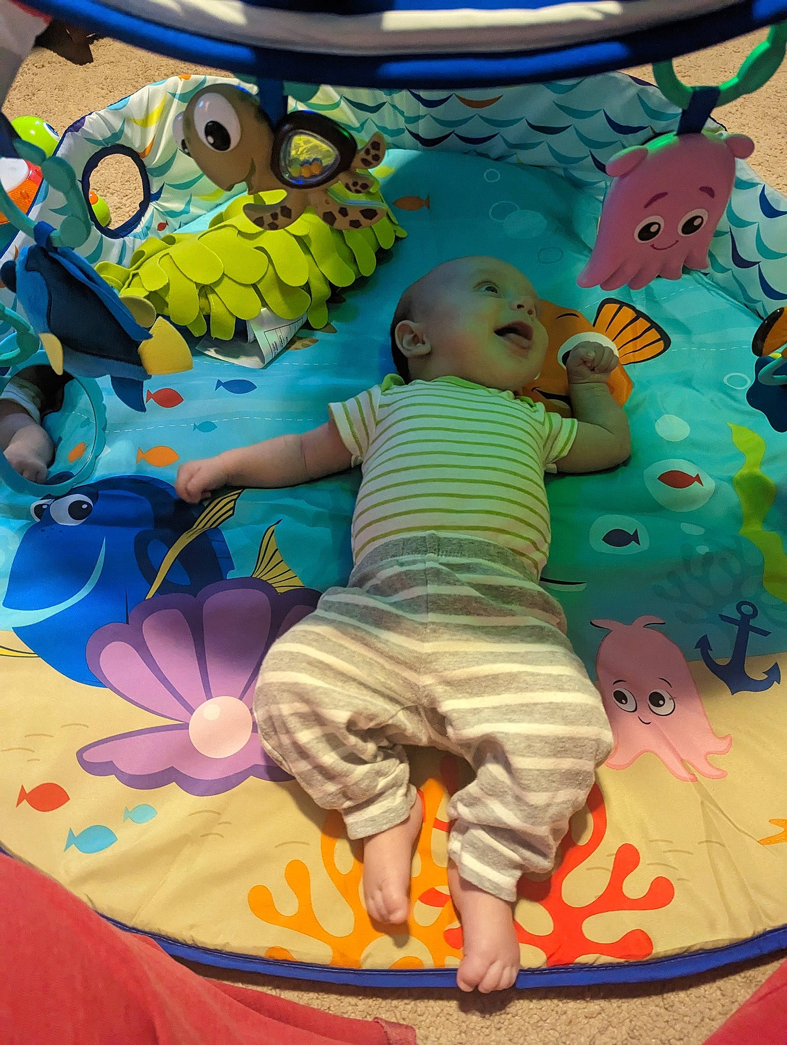 Ace joined the competition — help win amazing prizes! art, baby_toddler_clothing, blue, child, fictional_character, fun, happy, inflatable, leisure, pattern, person, pink, play, recreation, snapshot, t_shirt, textile, toddler, toy, tree