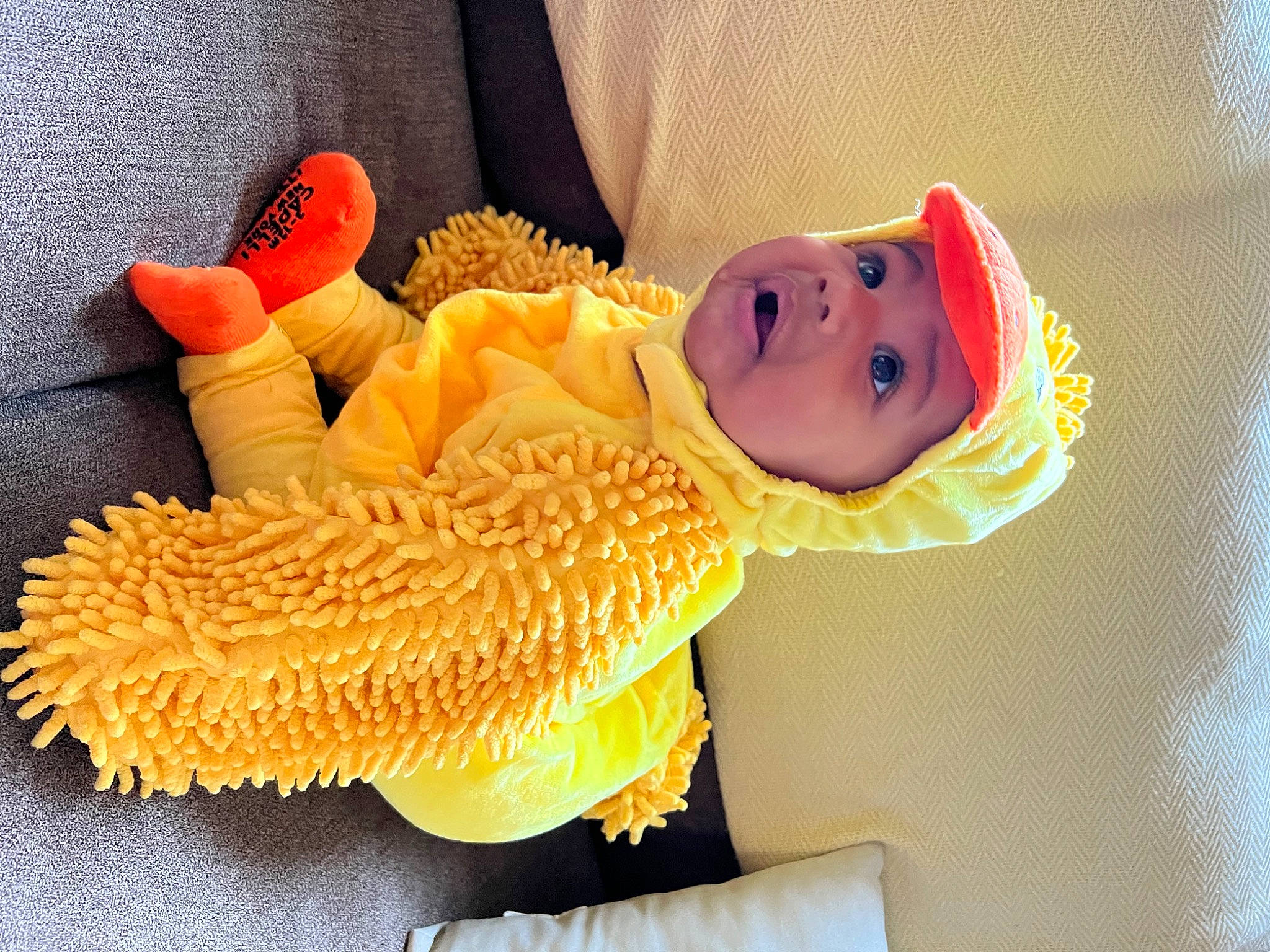 Kyland is registered to the contest to win money with this photo: baby, baby_products, baby_toddler_clothing, child, comfort, fashion_accessory, fun, happy, hat, headgear, headwear, orange, peach, person, petal, plant, room, smile, stuffed_toy, toddler