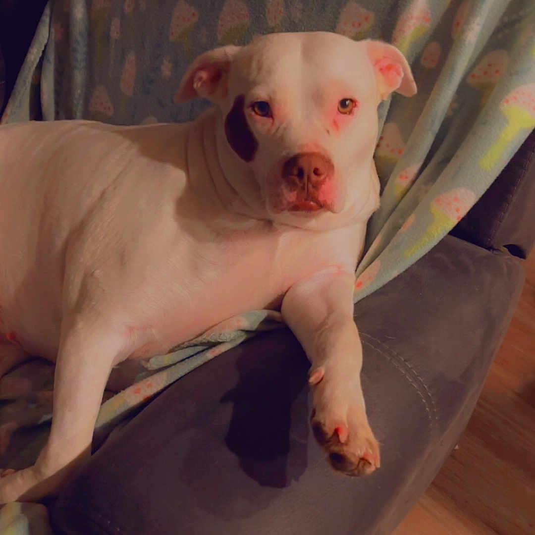 Luna