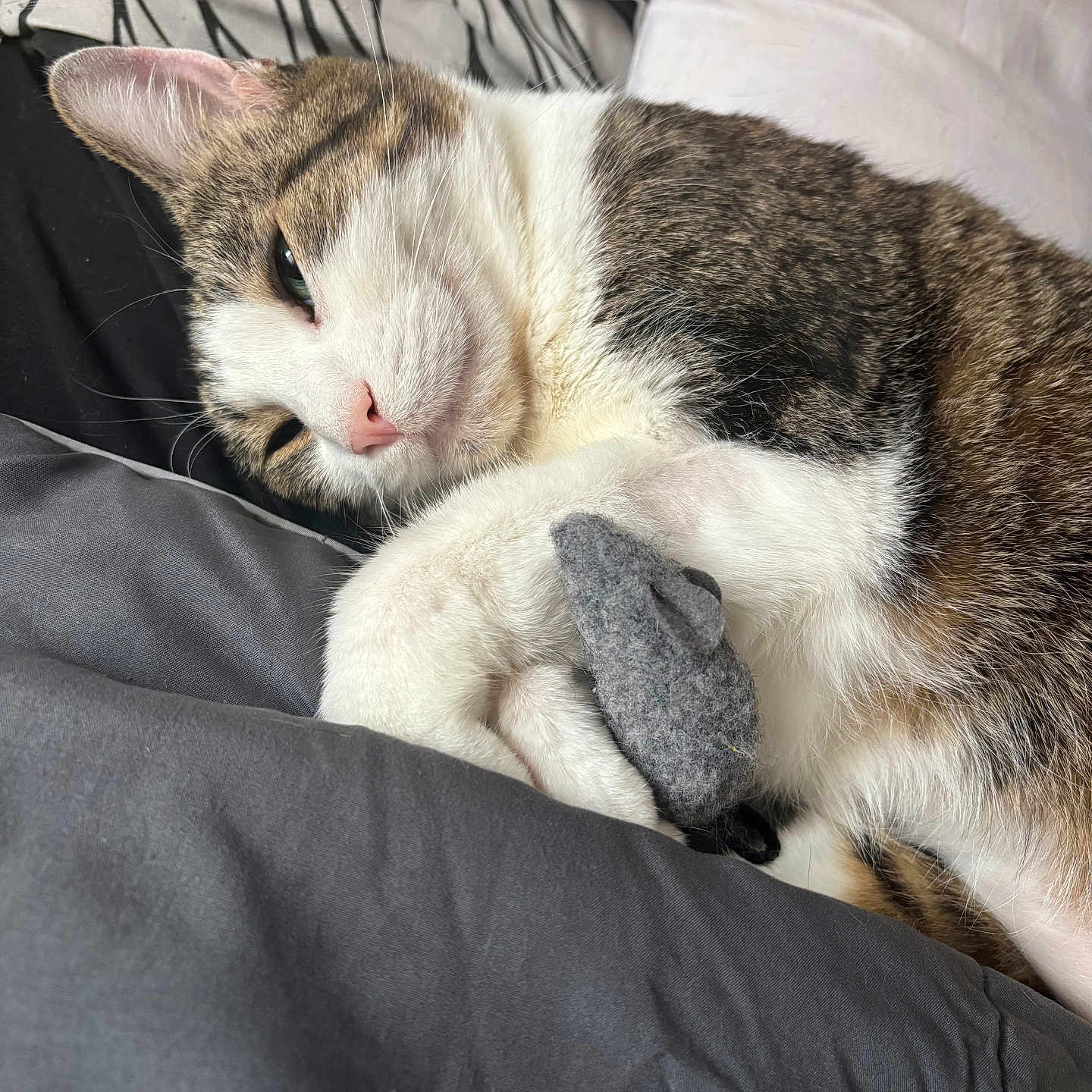 Luna