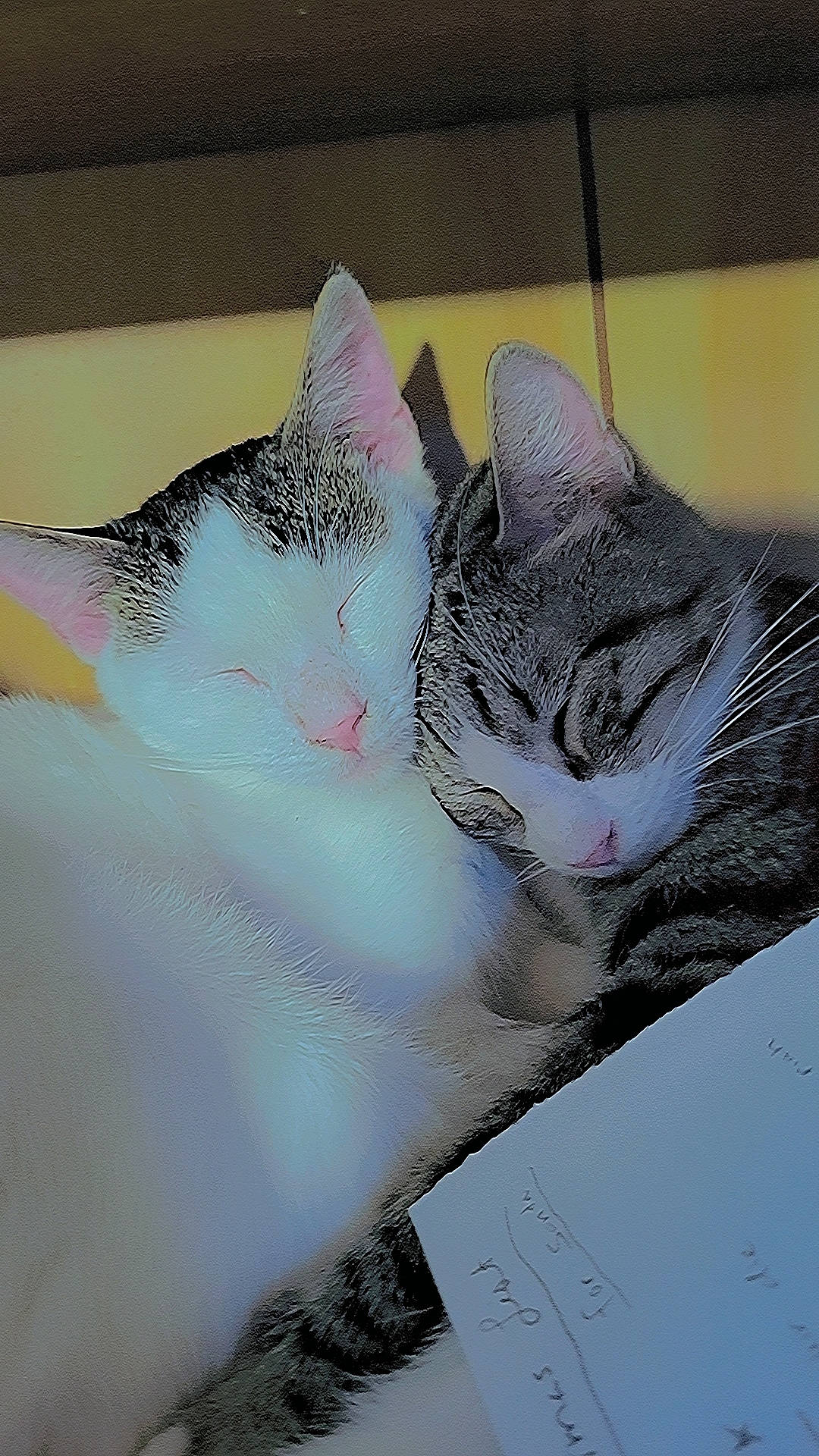 Sassy is registered to the contest to win money with this photo: carnivore, cat, comfort, domestic_short_haired_cat, eye, felidae, fur, head, linens, mammal, metal, nap, pattern, paw, small_to_medium_sized_cats, snout, square, tail, vertebrate, whiskers