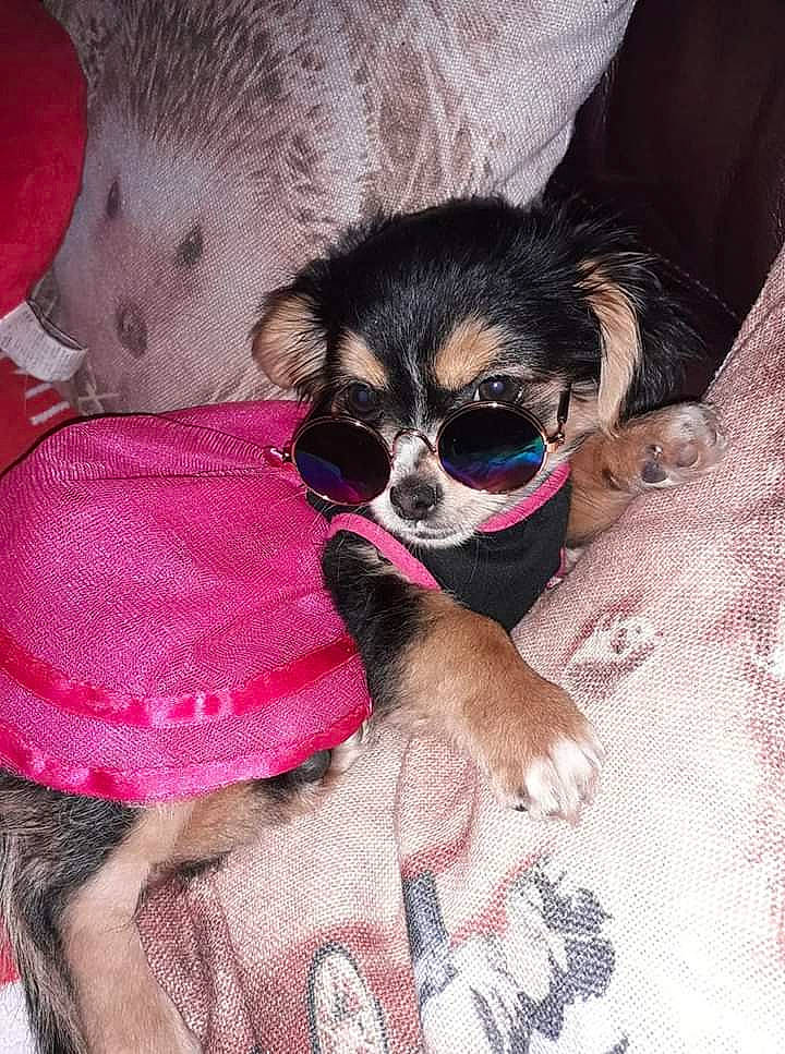 Nala