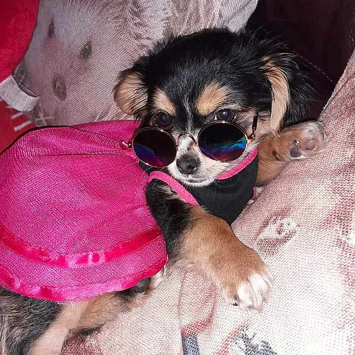 Nala