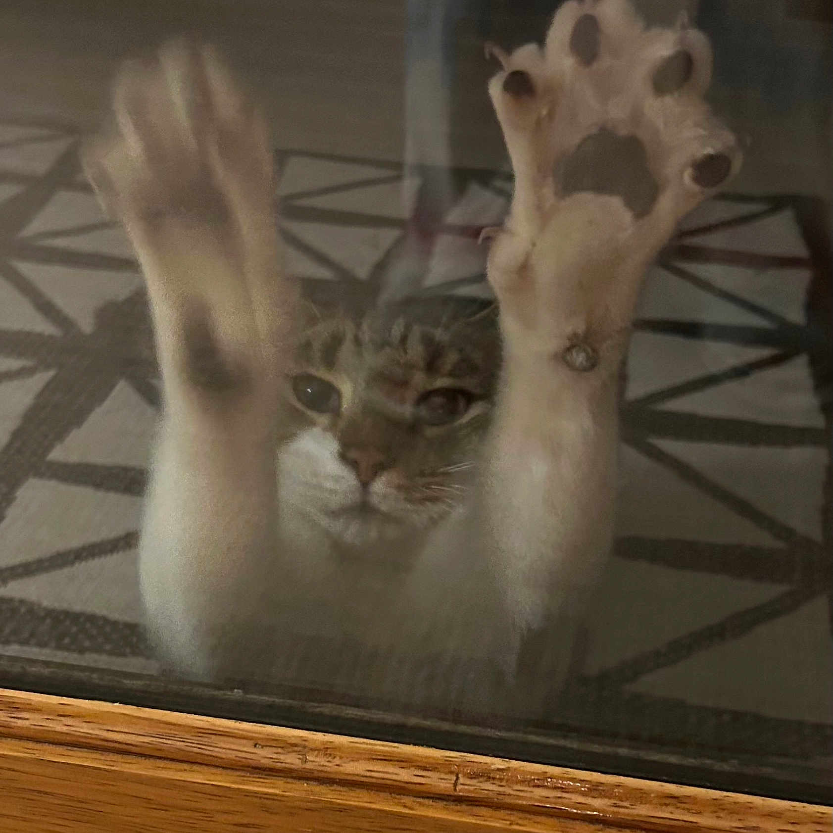 Ken