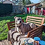 bench, blanket, coffee, daytime, dog, garden, grass, house, jam, leisure, nature, outdoor, pet, relaxed, sky, summer, sunlight, table, tray, wooden_deck
