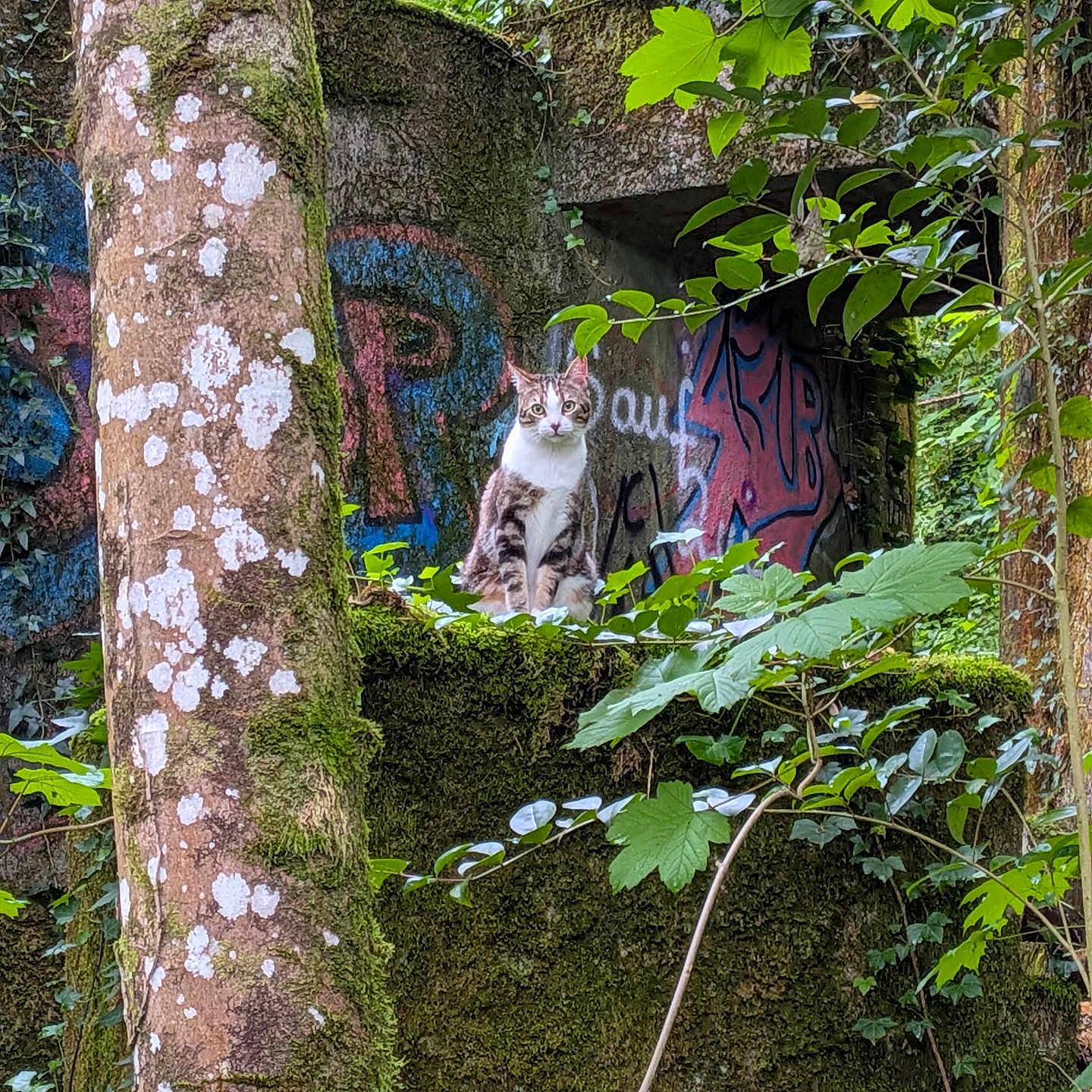 Rio