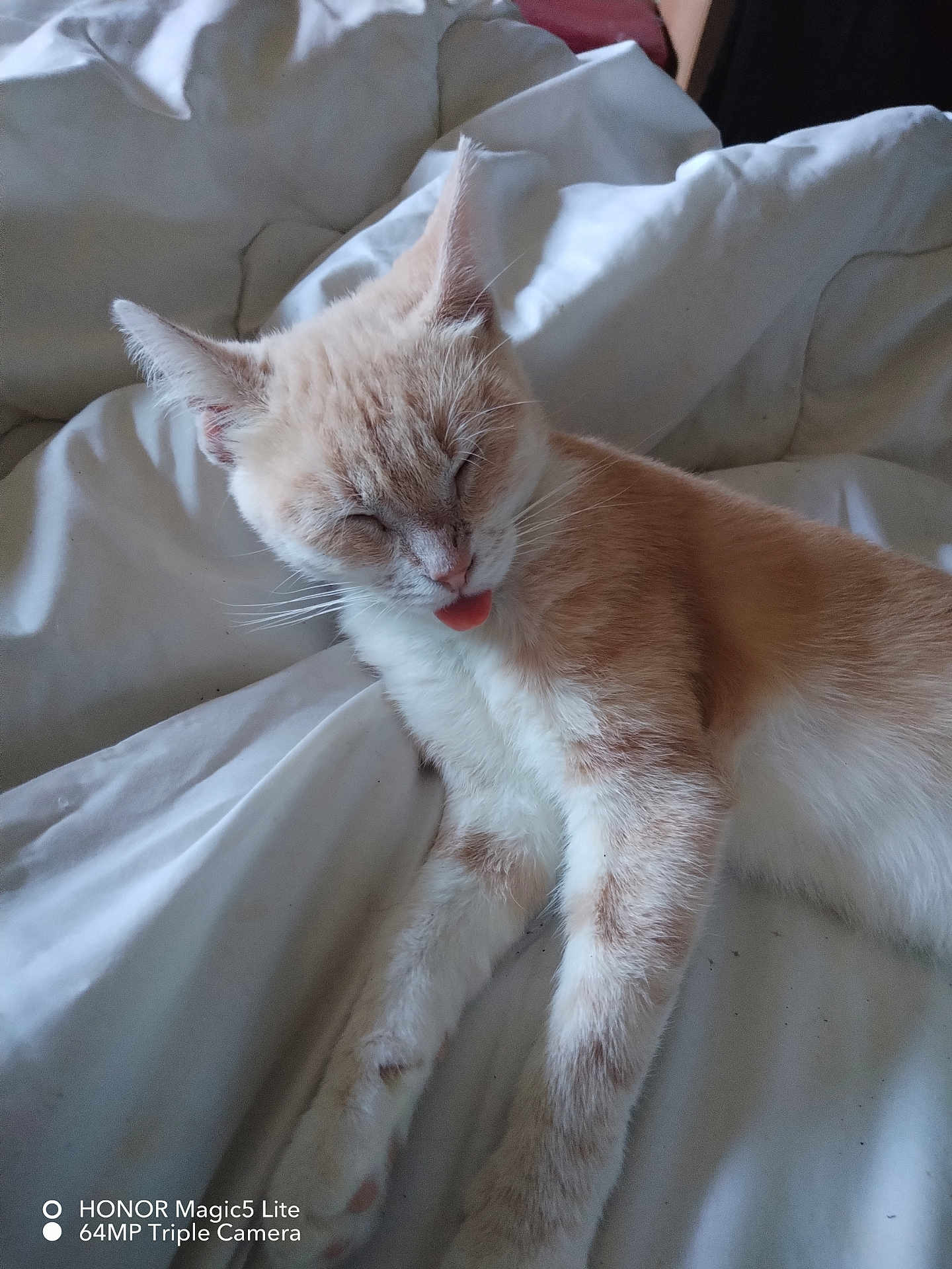 Bébé