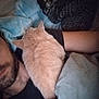 Bébé participe au concours pour gagner de l'argent avec cette photo : arm, beard, blanket, cat, closeup, clothing, comfort, cozy, cuddle, furry, indoor, nap, person, pet, portrait, relaxation, resting, sleeping, soft, warm