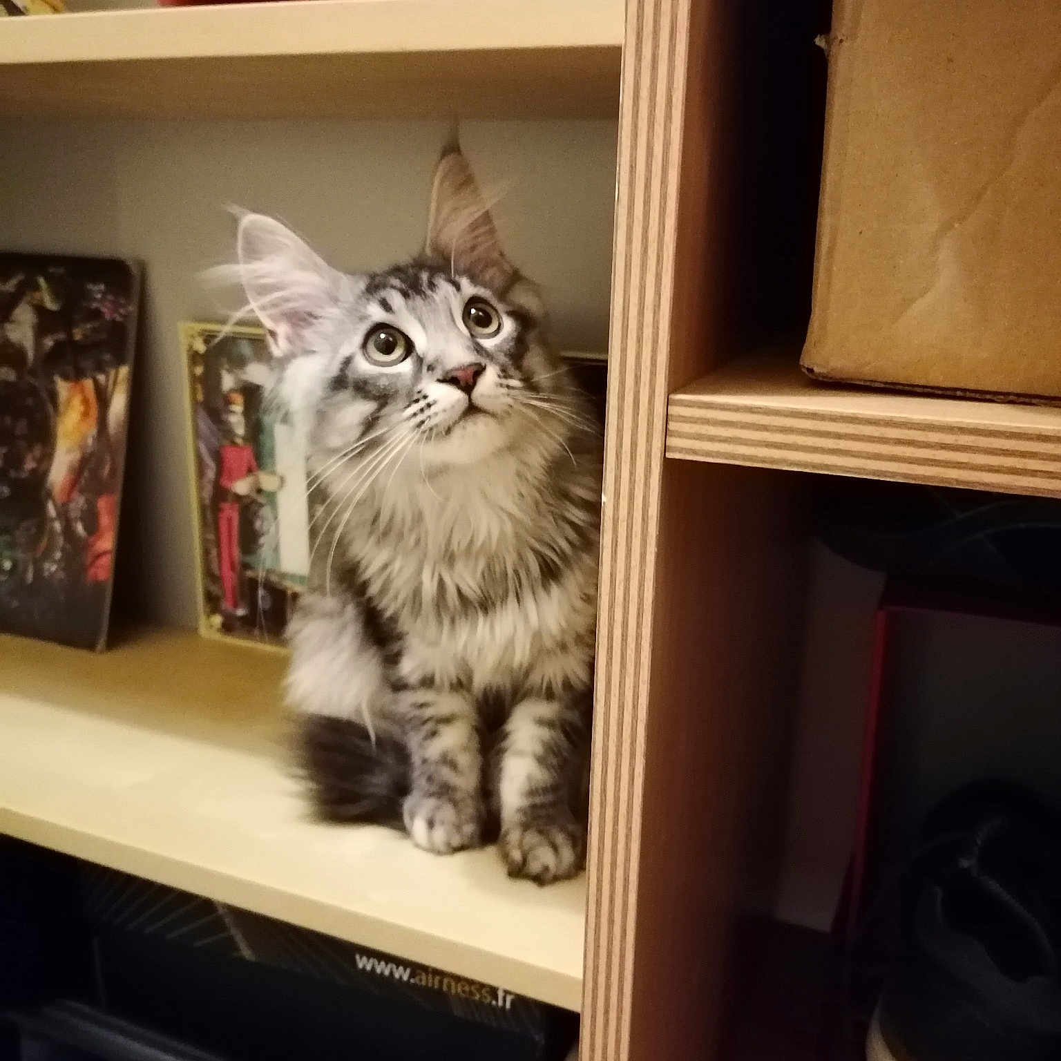 Mia