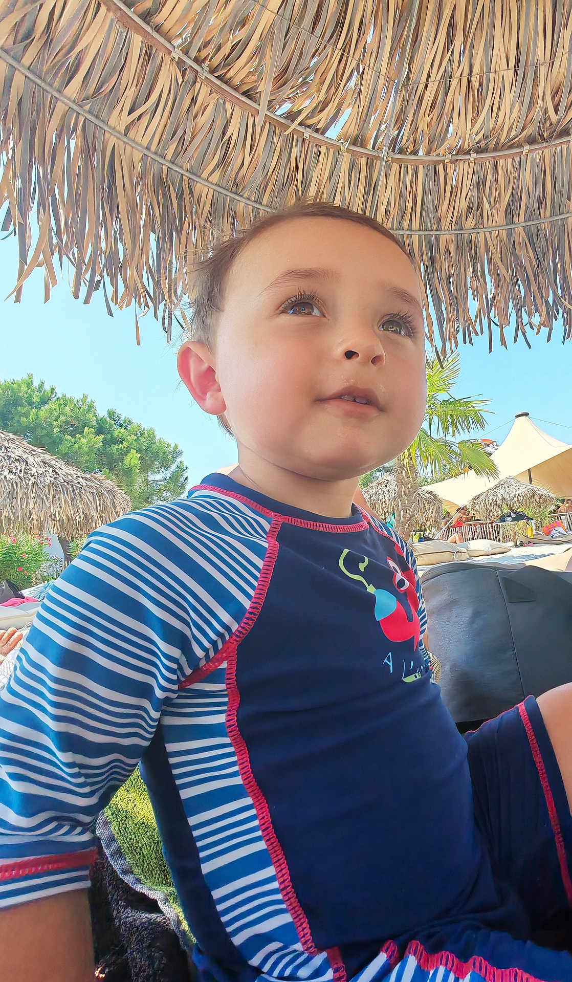 Malo a rejoint le concours — aidez-le/la à gagner de superbes lots ! child, boy, swimwear, blue, striped, outdoor, sunny, umbrella, thatched_roof, tropical, palm_tree, beach, poolside, curious, young, casual, daylight, vacation, relaxation, portrait