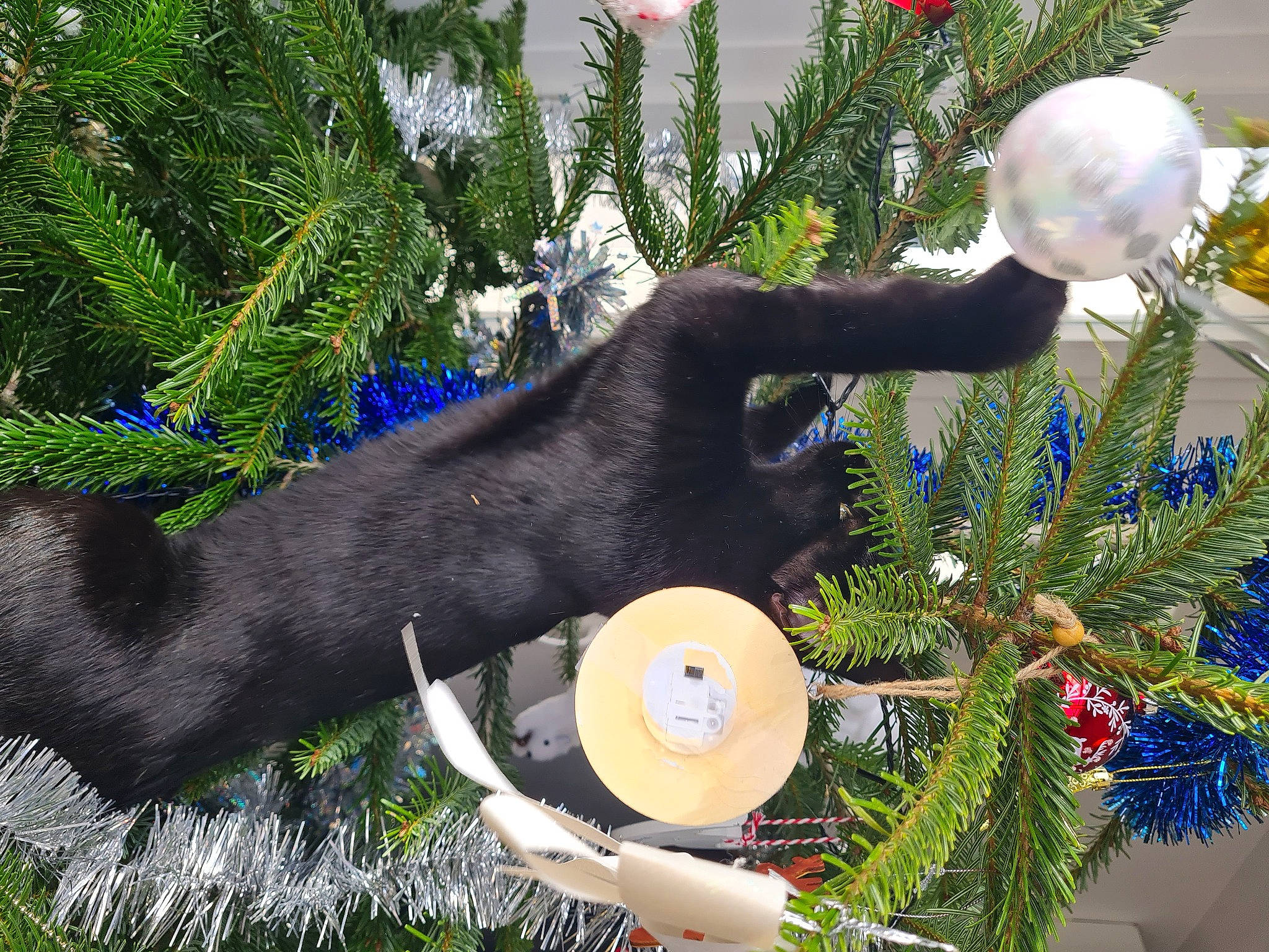 Miki a rejoint le concours — aidez-le/la à gagner de superbes lots ! art, biome, botany, christmas_decoration, christmas_ornament, conifer, event, evergreen, garden, grass, holiday_ornament, lawn_ornament, organism, ornament, plant, pole, sculpture, statue, tree, woody_plant