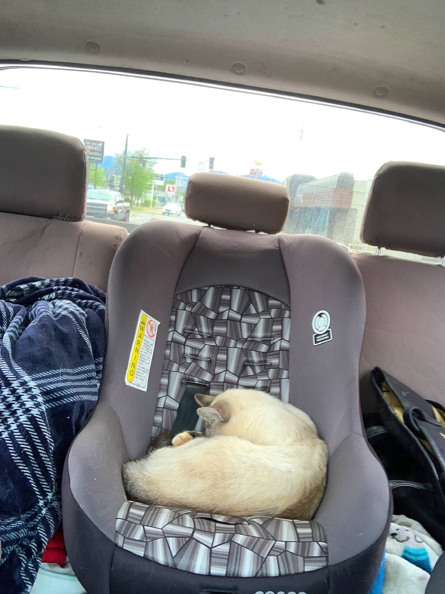 George is registered to the contest to win money with this photo: auto_part, automotive_design, automotive_exterior, automotive_lighting, automotive_tire, automotive_wheel_system, car, car_seat, car_seat_cover, family_car, head_restraint, luxury_vehicle, mid_size_car, motor_vehicle, personal_luxury_car, steering_wheel, vehicle, vehicle_door, window, windshield