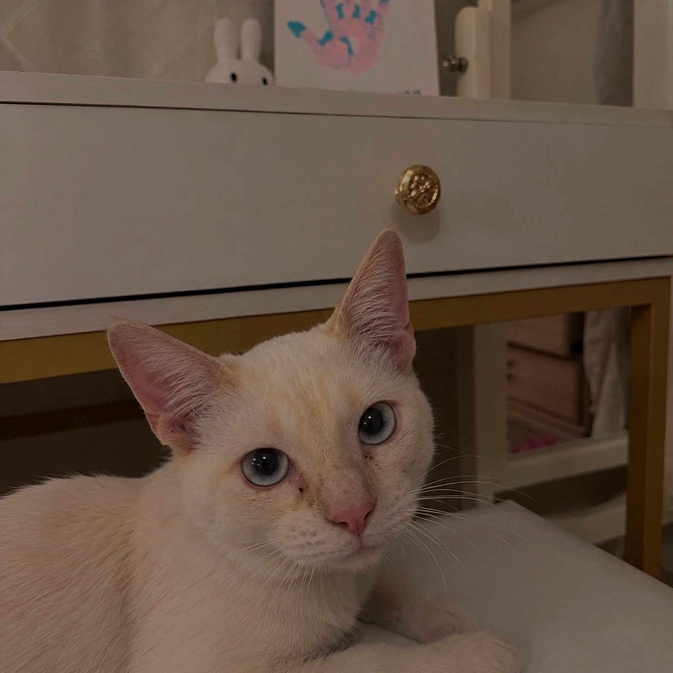 Milo