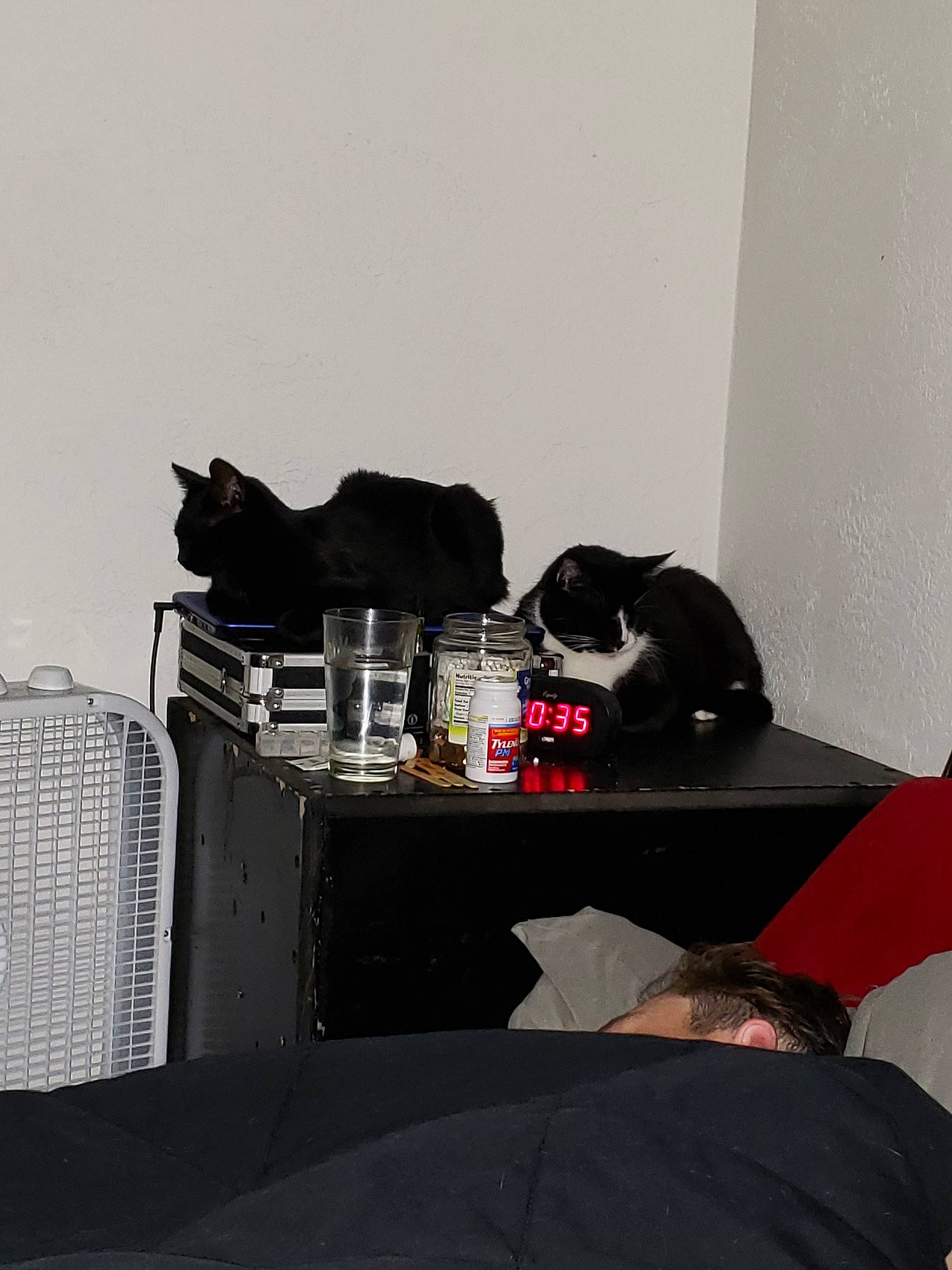 Scar is registered to the contest to win money with this photo: furniture, room, table