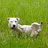 HYUKA participe au concours pour gagner de l'argent avec cette photo :