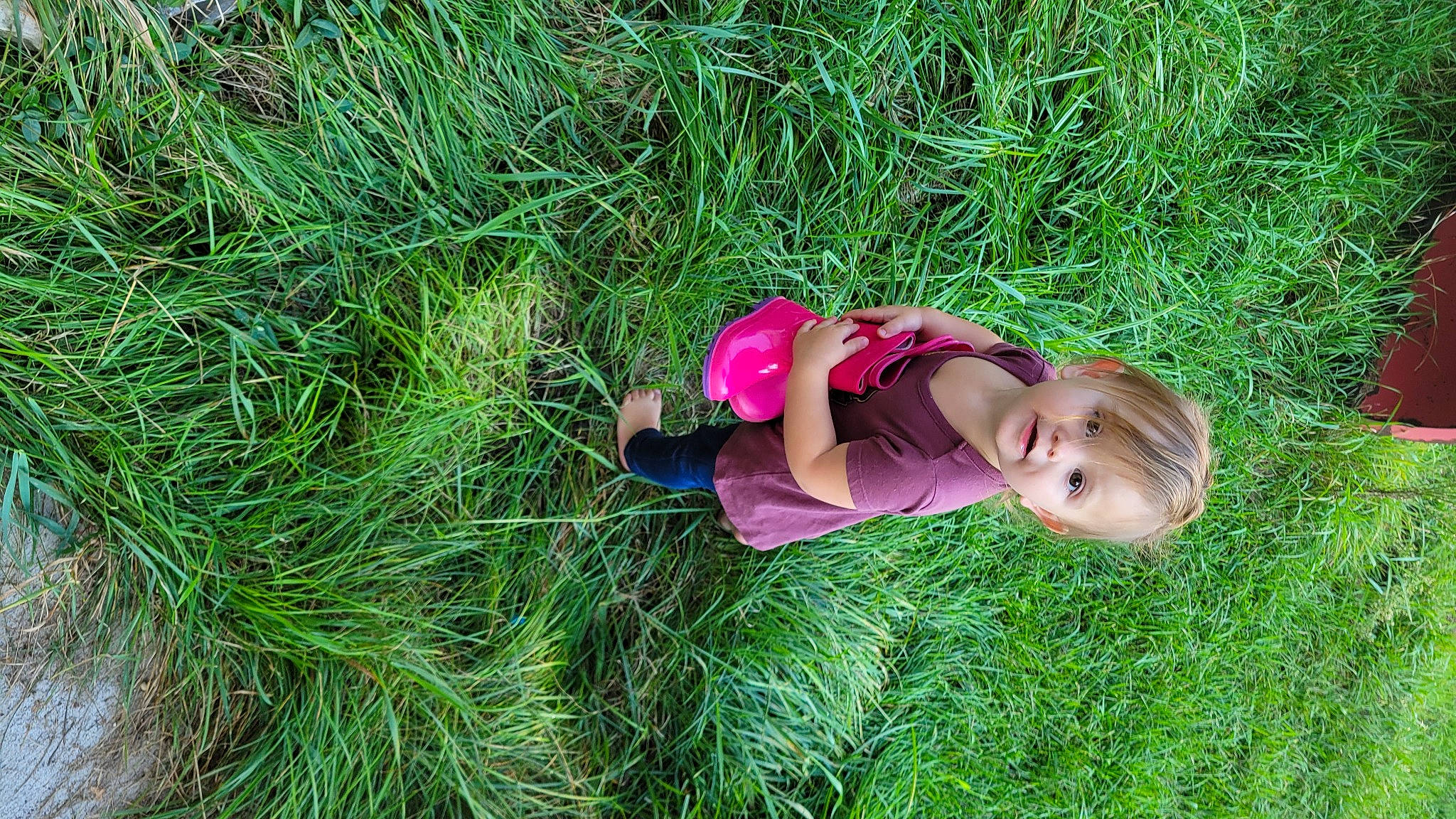 Piper is registered to the contest to win money with this photo: baby, baby_toddler_clothing, garden, grass, grass_family, grassland, groundcover, happy, landscape, leisure, magenta, organism, people_in_nature, person, plant, prairie, shrub, terrestrial_plant, toddler, tree