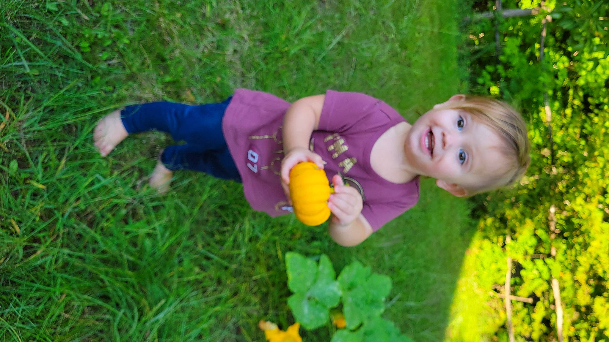 Piper joined the competition — help win amazing prizes! baby, baby_toddler_clothing, botany, child, flower, fun, grass, grass_family, grassland, groundcover, happy, joy, lawn, leaf, leisure, meadow, natural_environment, people_in_nature, person, plant