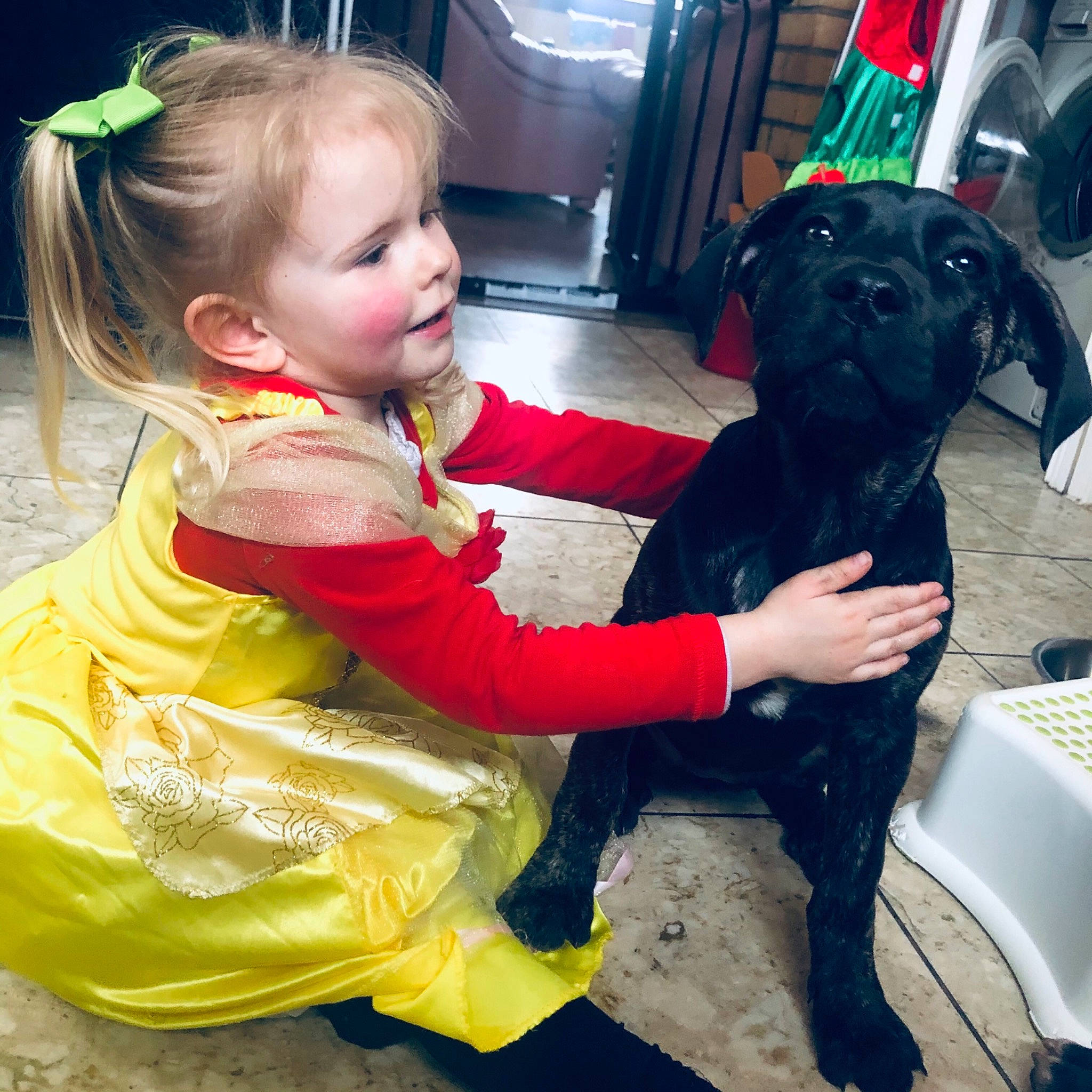 Ava is registered to the contest to win money with this photo: baby, baby_toddler_clothing, carnivore, chair, child, companion_dog, dog, dog_breed, fun, fur, guard_dog, happy, person, play, puppy_love, selfie, sitting, snout, toddler, toy_dog