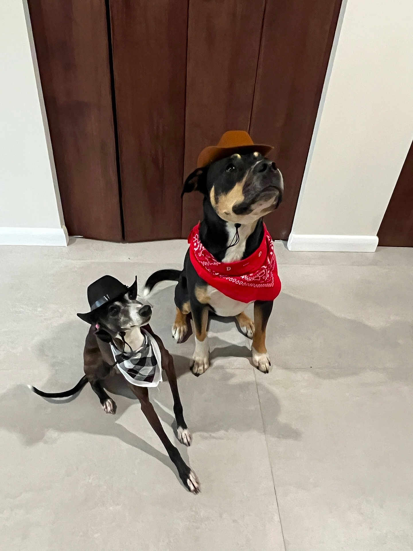 Captain And Dart