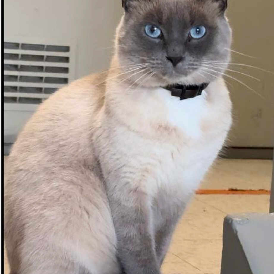 Sam